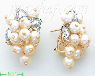 14K Gold Fancy Earrings - Click Image to Close