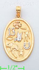 14K Gold Good Luck Symbols Lucky Charm Pendant - Click Image to Close