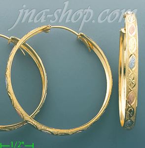 14K Gold 3Color Hoop Earrings