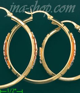 14K Gold 3Color Hoop Earrings